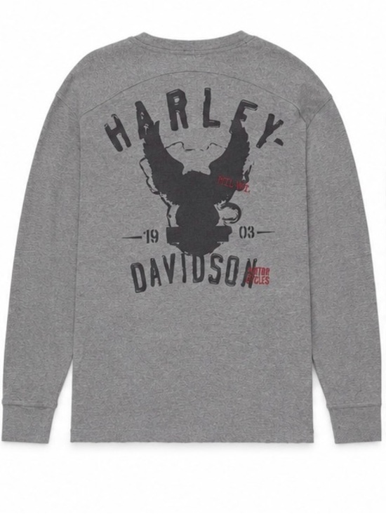 Harley-Davidson Other - Harley-Davidson Gray Long Sleeve Eagle Graphic Tee